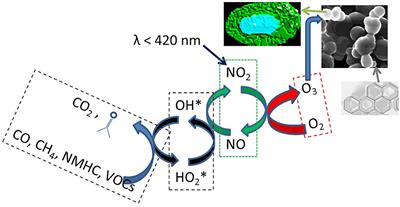 Source Contribution of Firecrackers Burst vs. Long-Range Transport of Biomass Burning Emissions Over an Urban Background